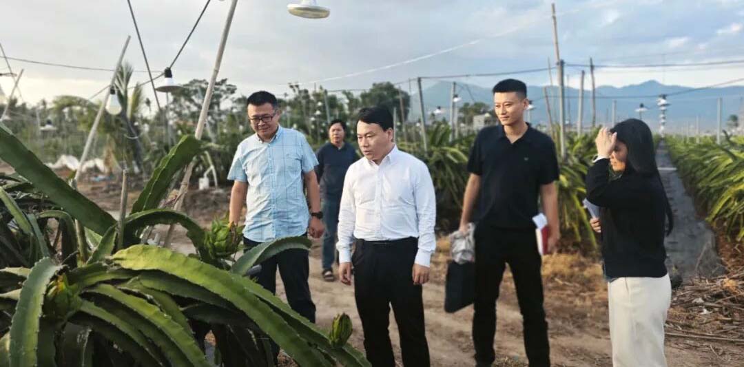 施祖送赴天涯区过岭村推进乡村振兴工作 锚定全会精神绘就发展新篇